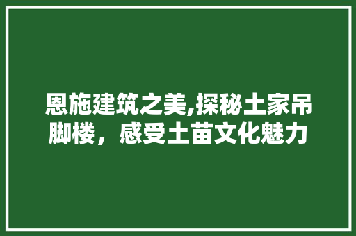恩施建筑之美,探秘土家吊脚楼，感受土苗文化魅力