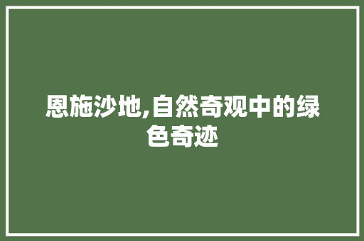 恩施沙地,自然奇观中的绿色奇迹
