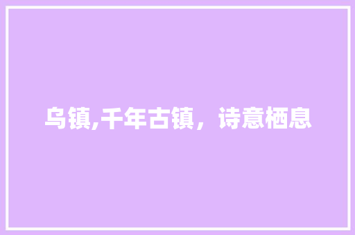 乌镇,千年古镇，诗意栖息  第1张
