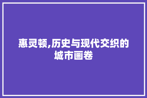 惠灵顿,历史与现代交织的城市画卷