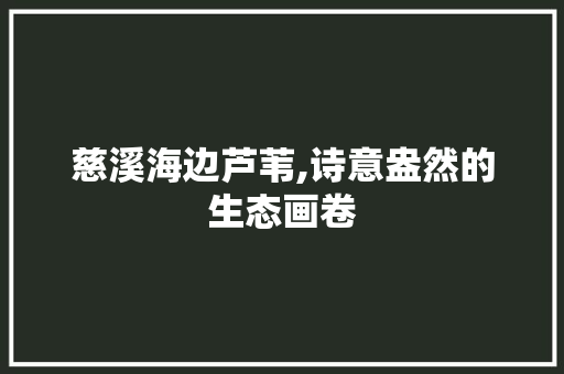 慈溪海边芦苇,诗意盎然的生态画卷