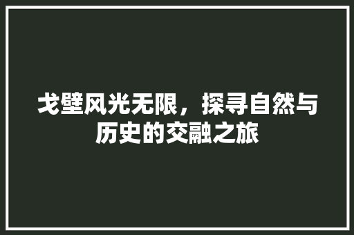 戈壁风光无限，探寻自然与历史的交融之旅