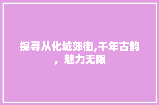 探寻从化城郊街,千年古韵，魅力无限