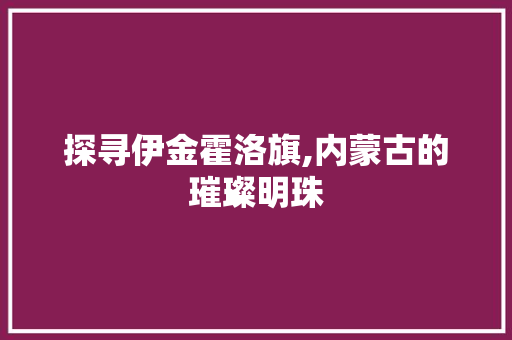 探寻伊金霍洛旗,内蒙古的璀璨明珠