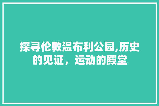 探寻伦敦温布利公园,历史的见证，运动的殿堂