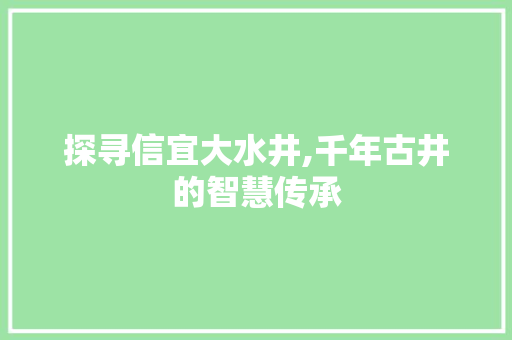 探寻信宜大水井,千年古井的智慧传承  第1张