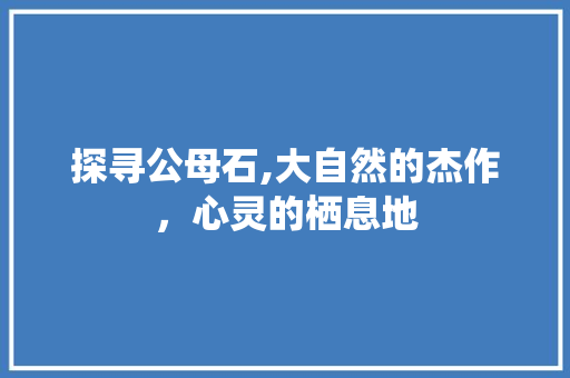 探寻公母石,大自然的杰作，心灵的栖息地