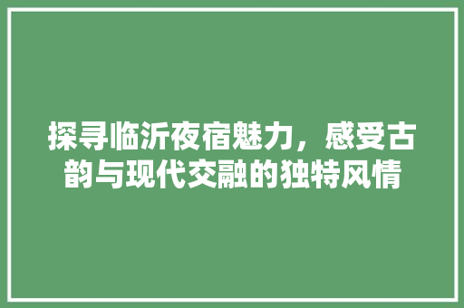 探寻临沂夜宿魅力，感受古韵与现代交融的独特风情