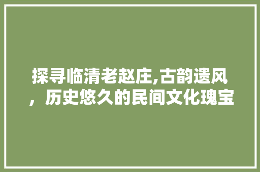 探寻临清老赵庄,古韵遗风，历史悠久的民间文化瑰宝