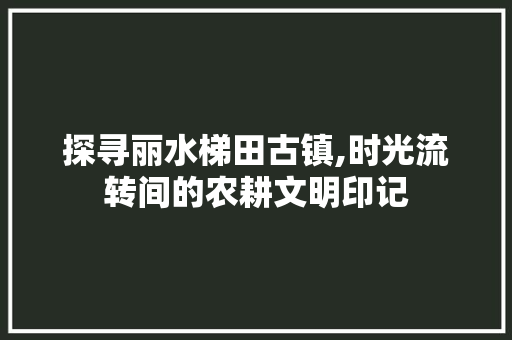 探寻丽水梯田古镇,时光流转间的农耕文明印记