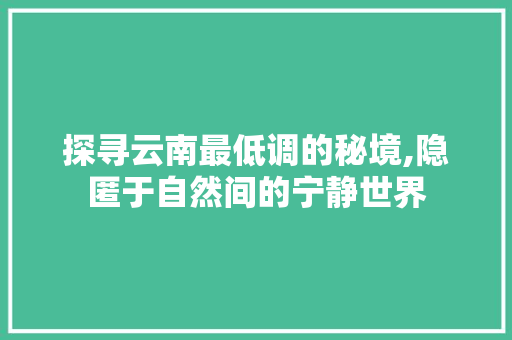 探寻云南最低调的秘境,隐匿于自然间的宁静世界