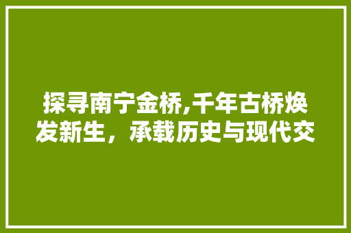 探寻南宁金桥,千年古桥焕发新生，承载历史与现代交融的美丽画卷