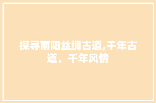 探寻南阳丝绸古道,千年古道，千年风情