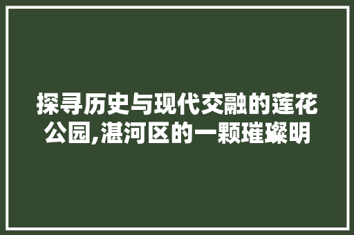 探寻历史与现代交融的莲花公园,湛河区的一颗璀璨明珠