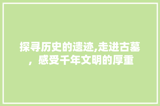 探寻历史的遗迹,走进古墓，感受千年文明的厚重