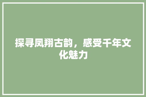 探寻凤翔古韵，感受千年文化魅力