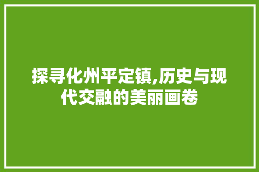探寻化州平定镇,历史与现代交融的美丽画卷