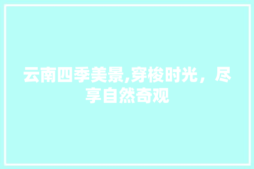 云南四季美景,穿梭时光，尽享自然奇观  第1张