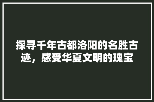 探寻千年古都洛阳的名胜古迹，感受华夏文明的瑰宝