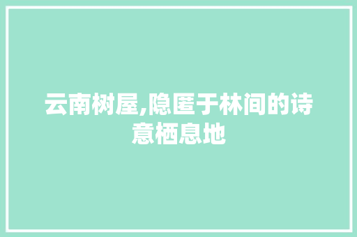 云南树屋,隐匿于林间的诗意栖息地  第1张