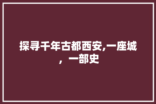探寻千年古都西安,一座城，一部史
