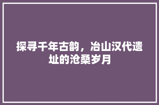 探寻千年古韵，冶山汉代遗址的沧桑岁月
