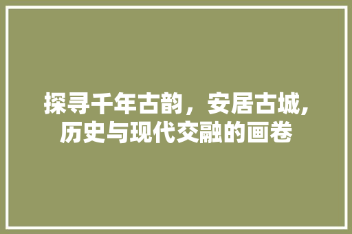 探寻千年古韵，安居古城,历史与现代交融的画卷
