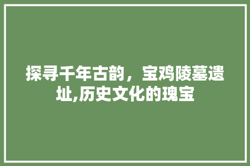 探寻千年古韵，宝鸡陵墓遗址,历史文化的瑰宝
