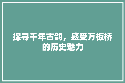 探寻千年古韵，感受万板桥的历史魅力