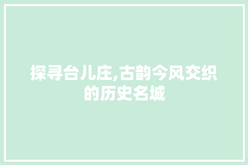 探寻台儿庄,古韵今风交织的历史名城  第1张