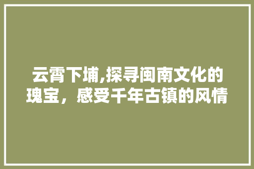 云霄下埔,探寻闽南文化的瑰宝，感受千年古镇的风情