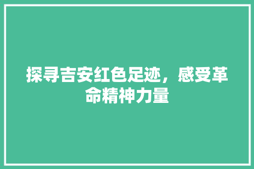 探寻吉安红色足迹，感受革命精神力量