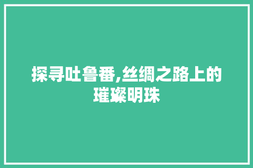 探寻吐鲁番,丝绸之路上的璀璨明珠