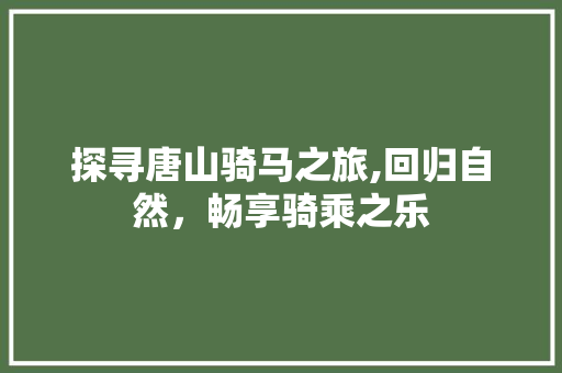探寻唐山骑马之旅,回归自然，畅享骑乘之乐
