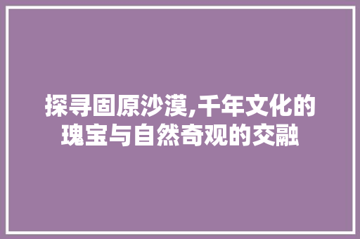 探寻固原沙漠,千年文化的瑰宝与自然奇观的交融