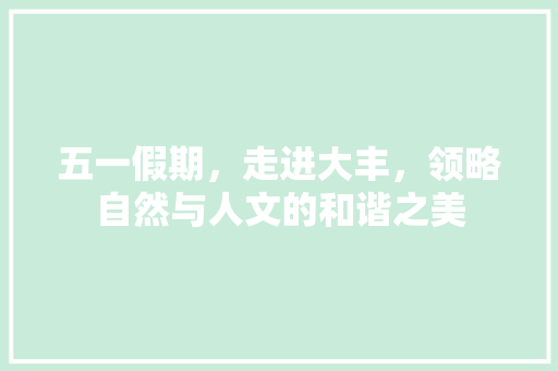 五一假期，走进大丰，领略自然与人文的和谐之美