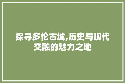 探寻多伦古城,历史与现代交融的魅力之地
