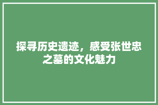 探寻历史遗迹，感受张世忠之墓的文化魅力