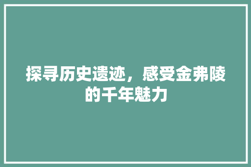 探寻历史遗迹，感受金弗陵的千年魅力
