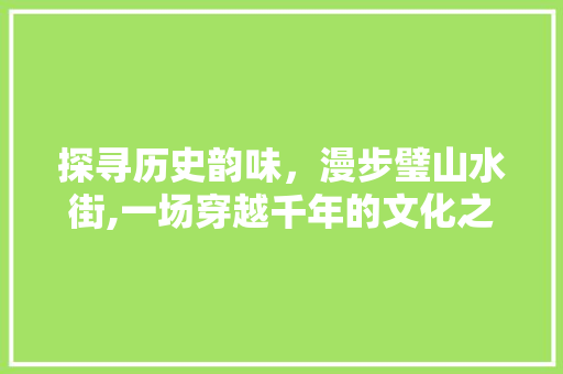 探寻历史韵味，漫步璧山水街,一场穿越千年的文化之旅