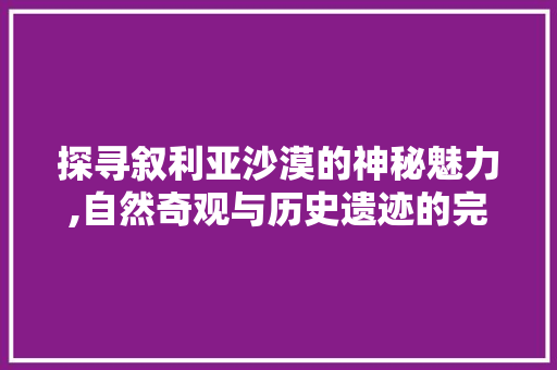 探寻叙利亚沙漠的神秘魅力,自然奇观与历史遗迹的完美融合