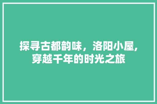 探寻古都韵味，洛阳小屋,穿越千年的时光之旅