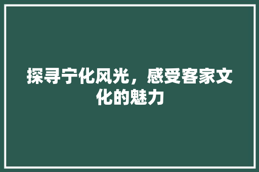 探寻宁化风光，感受客家文化的魅力