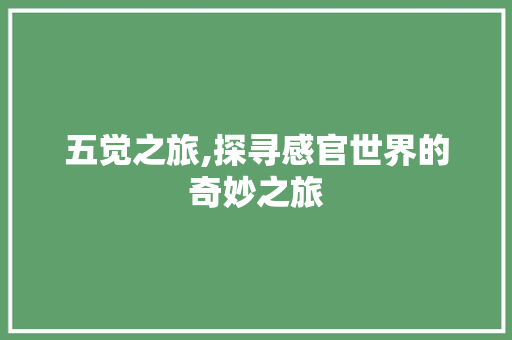 五觉之旅,探寻感官世界的奇妙之旅  第1张