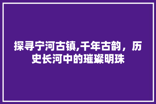 探寻宁河古镇,千年古韵，历史长河中的璀璨明珠  第1张