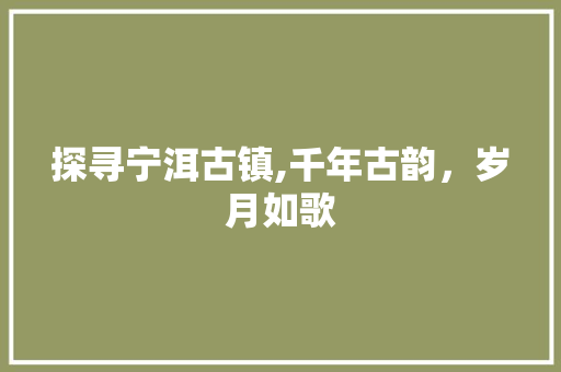 探寻宁洱古镇,千年古韵，岁月如歌