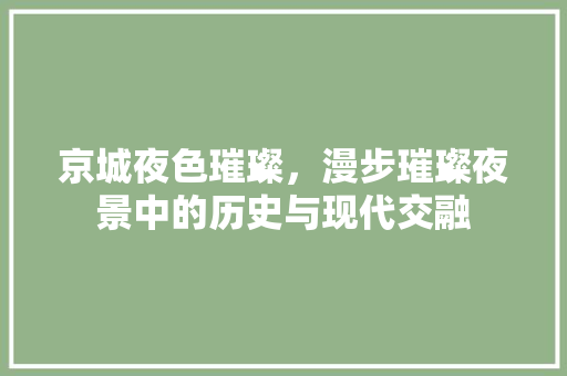 京城夜色璀璨，漫步璀璨夜景中的历史与现代交融  第1张