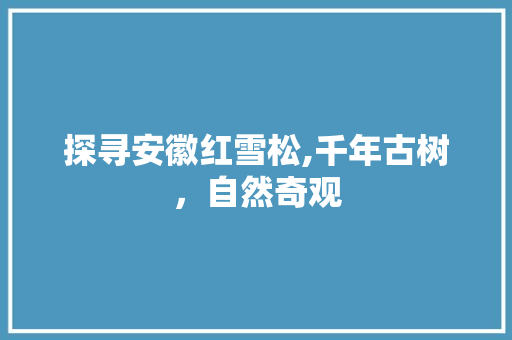 探寻安徽红雪松,千年古树，自然奇观