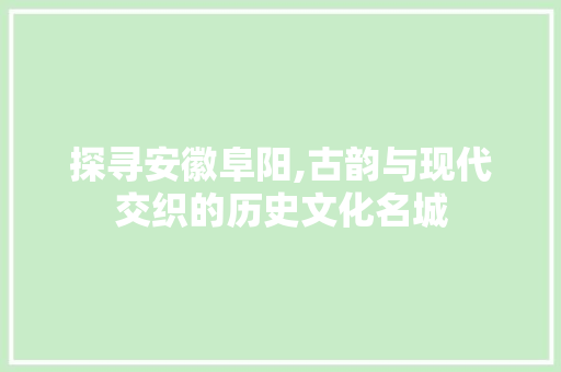 探寻安徽阜阳,古韵与现代交织的历史文化名城  第1张