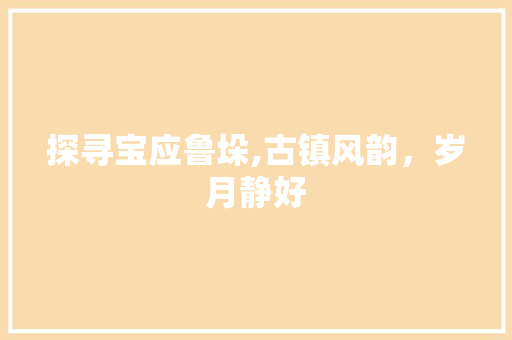 探寻宝应鲁垛,古镇风韵，岁月静好